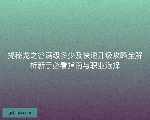 揭秘龙之谷满级多少及快速升级攻略全解析新手必看指南与职业选择